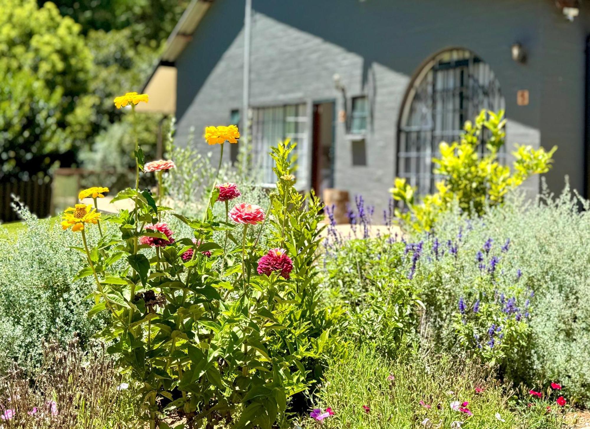 Fiddler'S Green Magoebaskloof Extérieur photo